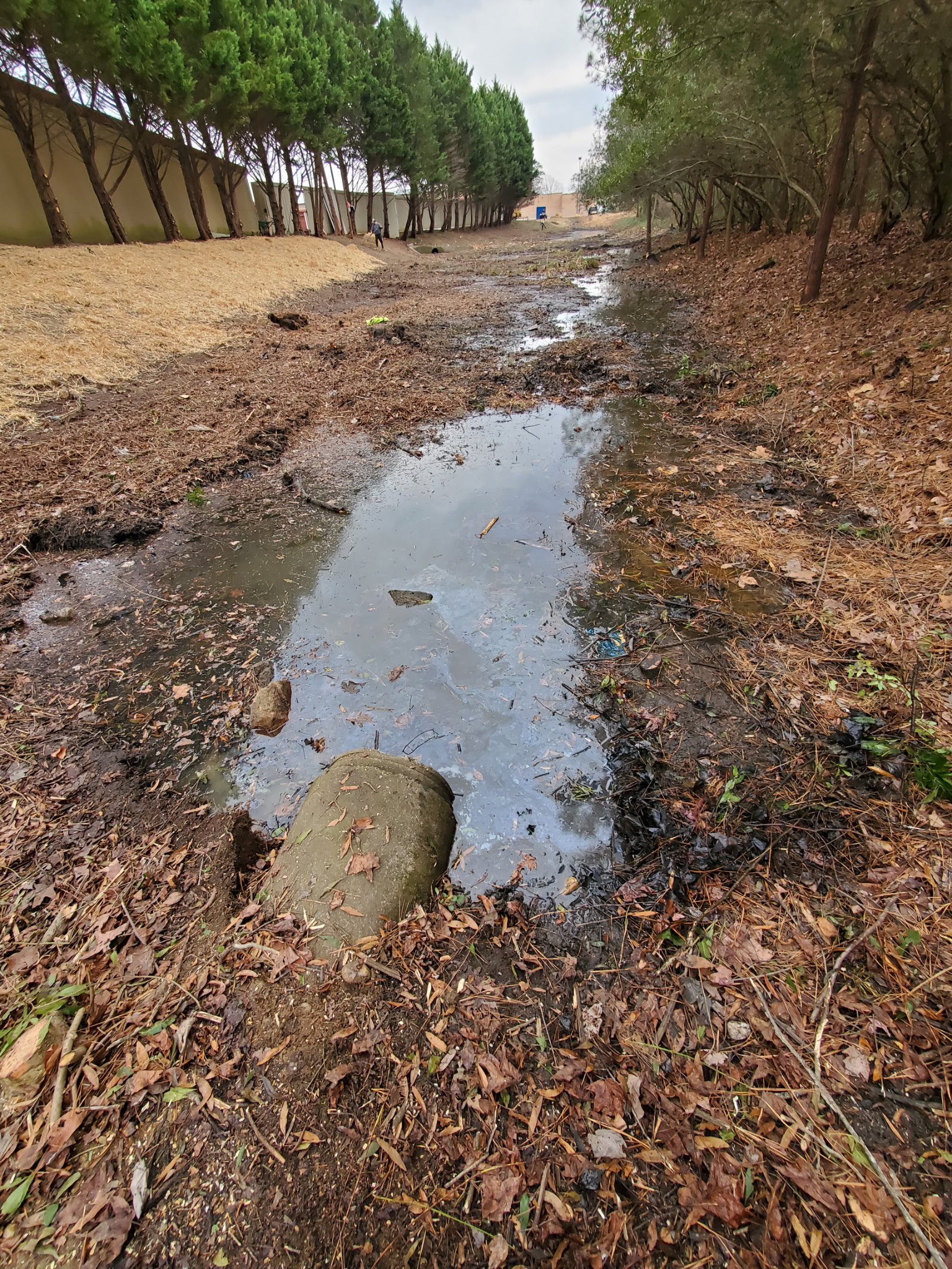 Blocked drainage channel with standing water and sediment buildup causing stormwater violations