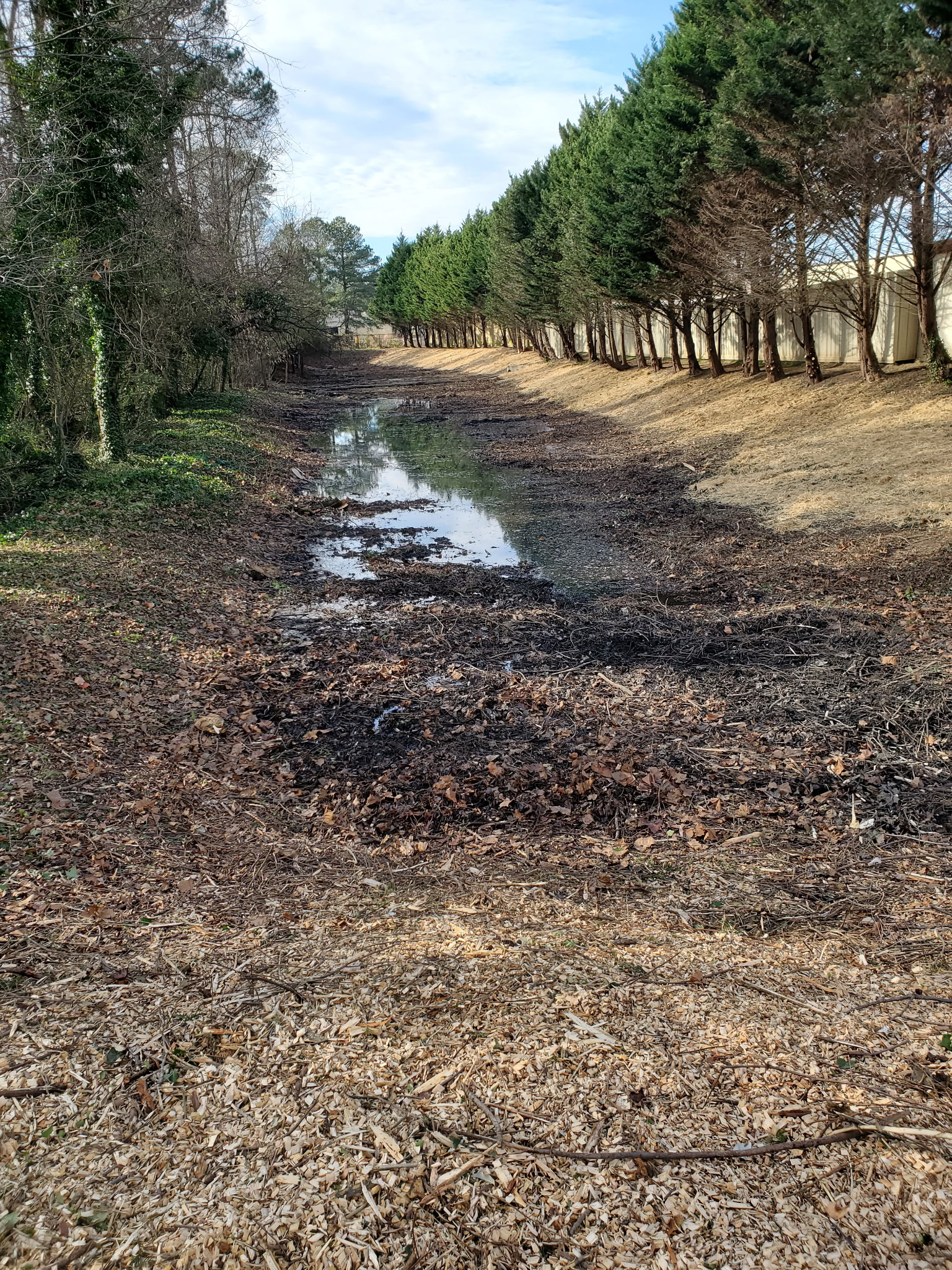 Stormwater swale with heavy sediment accumulation and standing water from lack of maintenance
